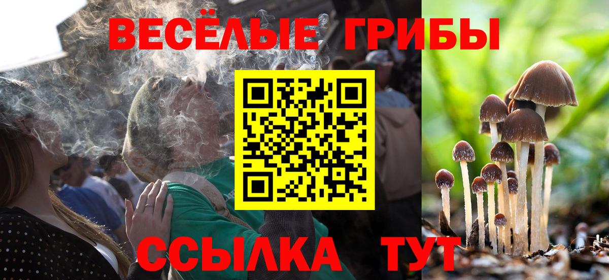 Кингисепп  Псилоцибиновые грибы мицелий  Вход с VPN 
